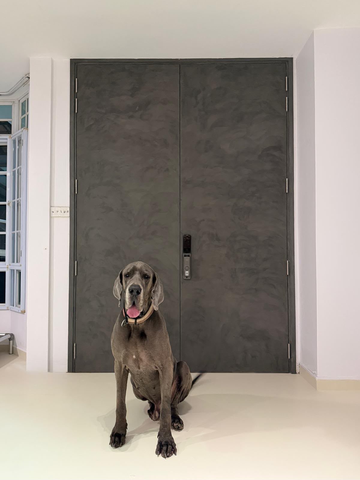 Double door finished in dark microcement